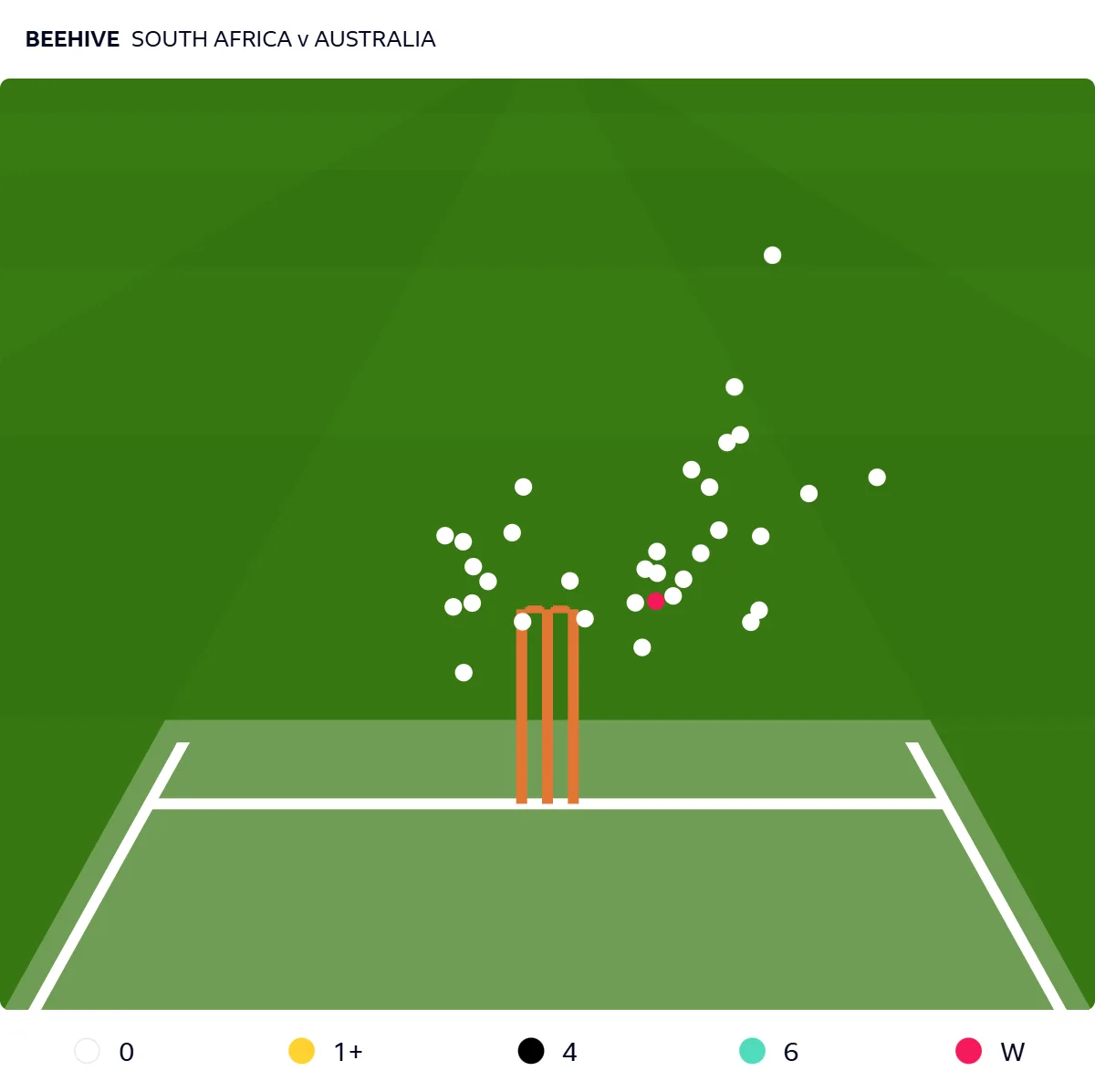 Beehive of Nic Maddinson's innings against South Africa