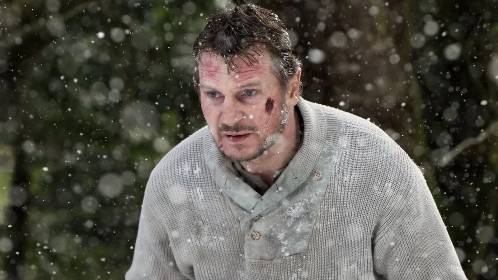 Anthony Hopkins’ Answer to Liam Neeson’s 'The Grey' Is Officially a Free Streaming Hit