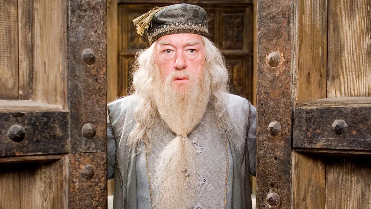 Harry Potter Casts a Spell on Two Major Streaming Services Ahead of HBO Adaptation