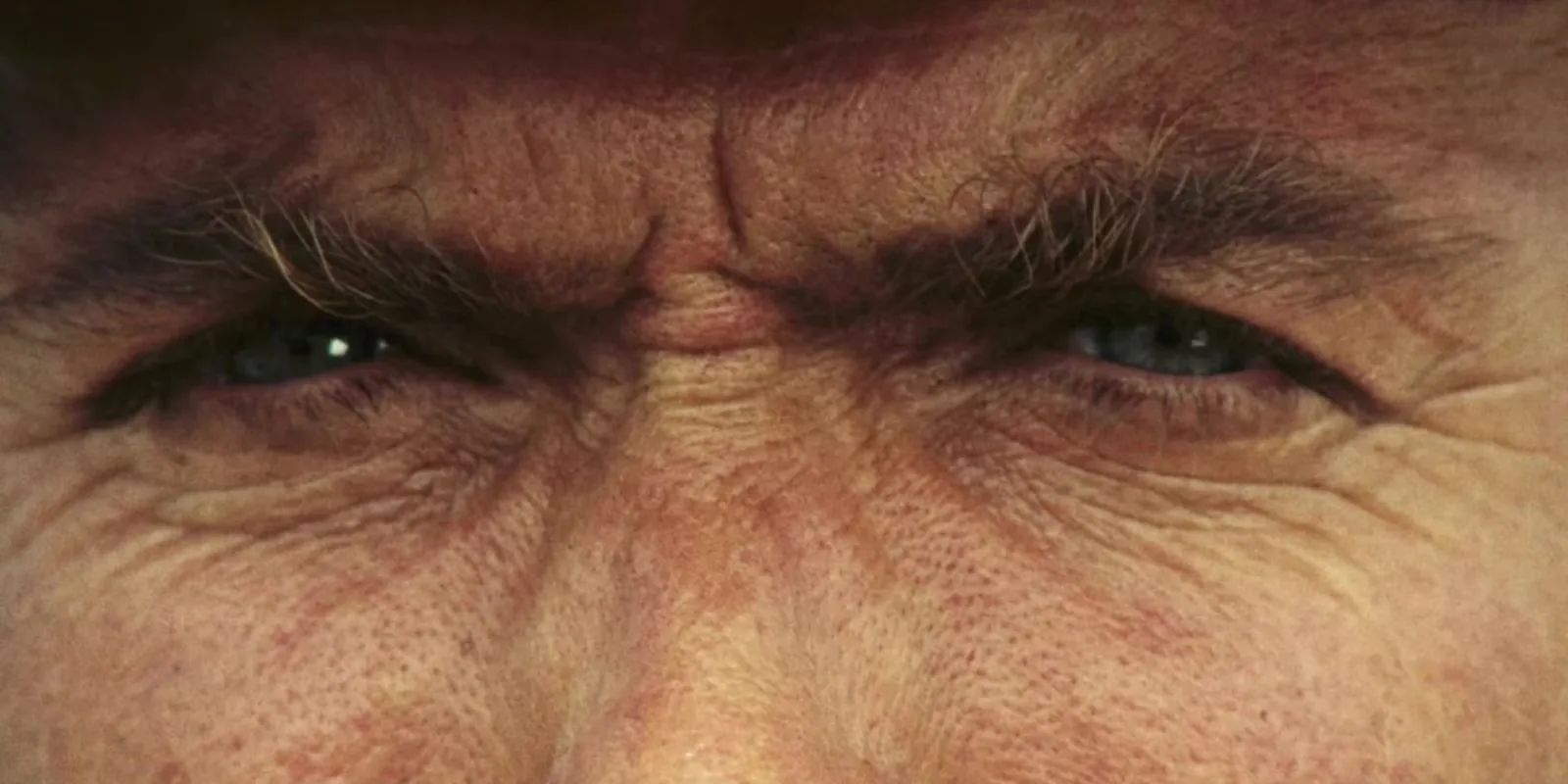 The Western Quentin Tarantino Called "The Best-Directed Movie of All Time" Officially Removed From Free Streaming