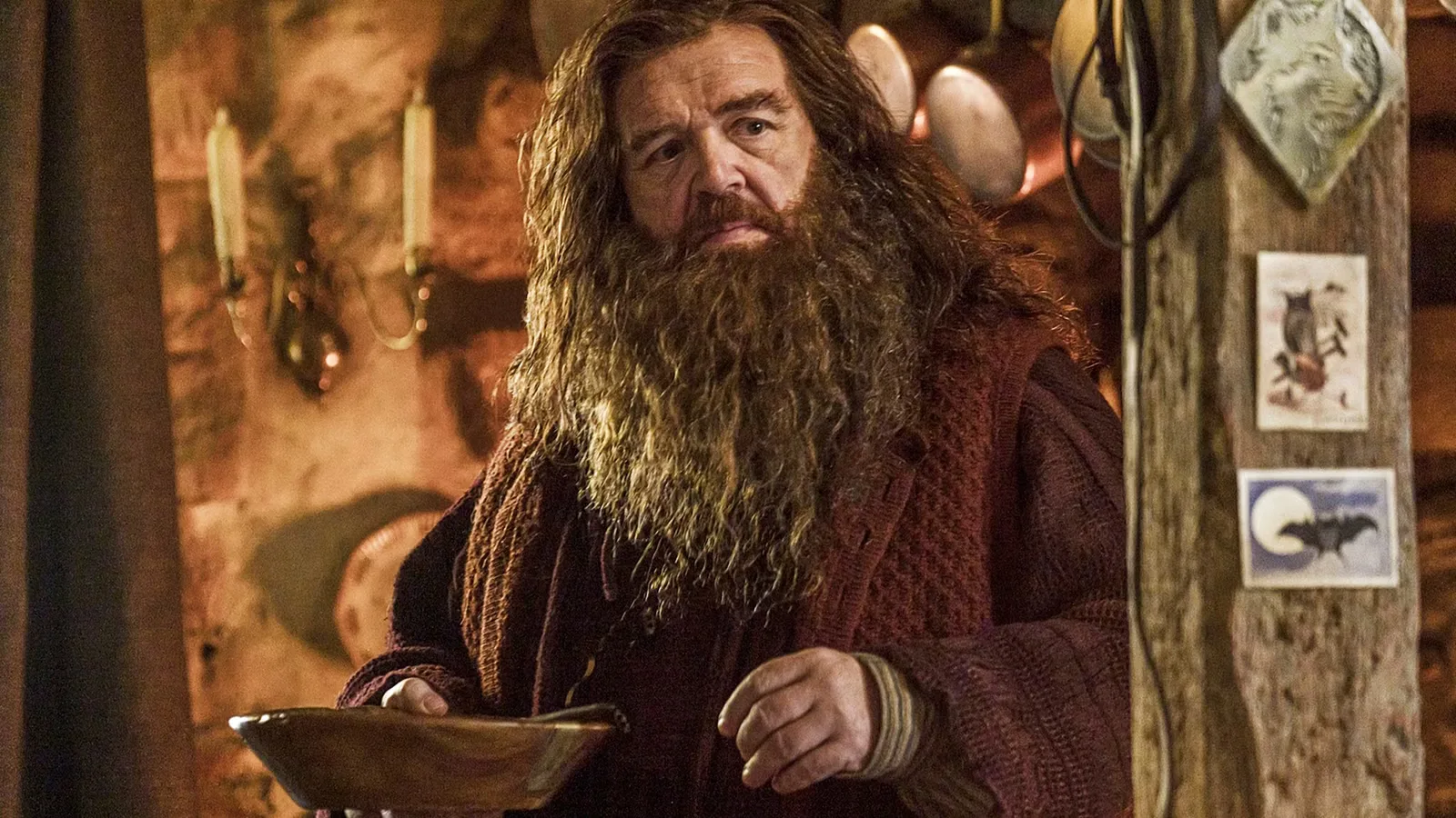 HBO's Harry Potter and Hagrid Officially Arrive on Streaming 2 Months Early