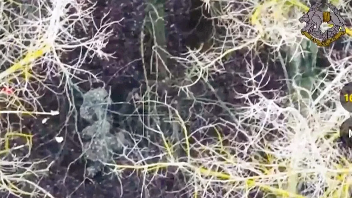 Ukrainian forces capturing two North Korean soldiers fighting alongside Russian forces in Russia’s Kursk border region, 11 January, 2025