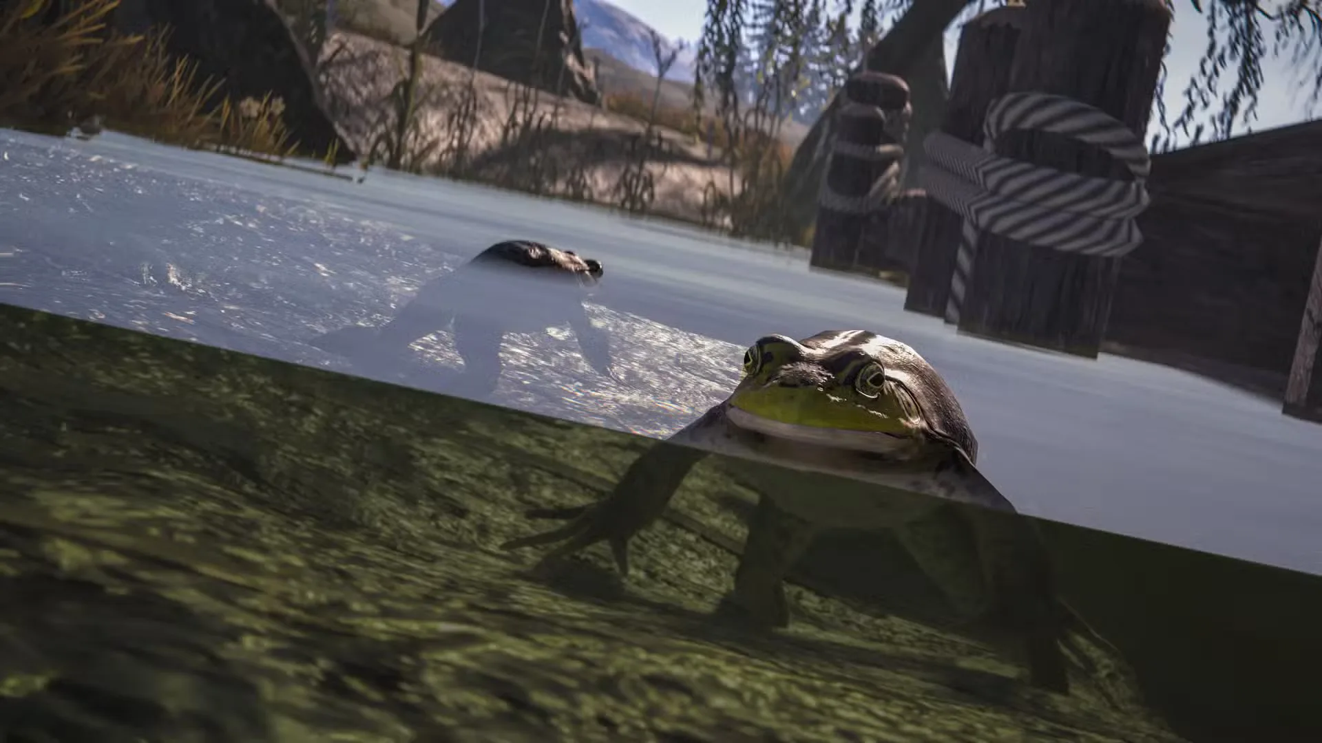 frog swimming rust