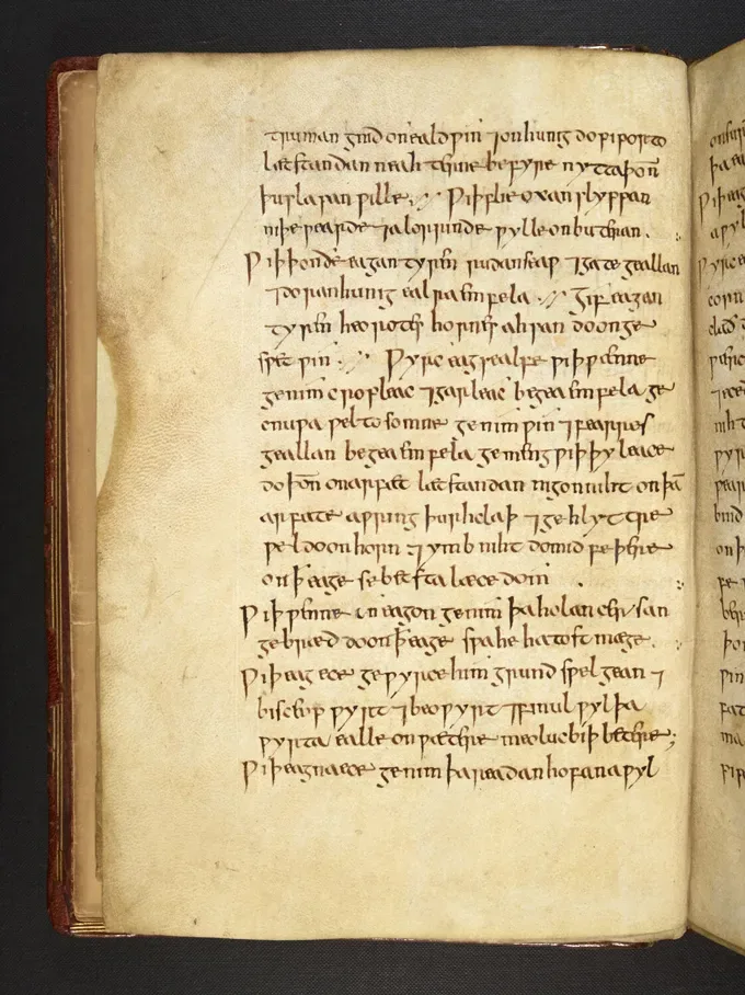 An old page of a book, with medieval-looking indecipherable script