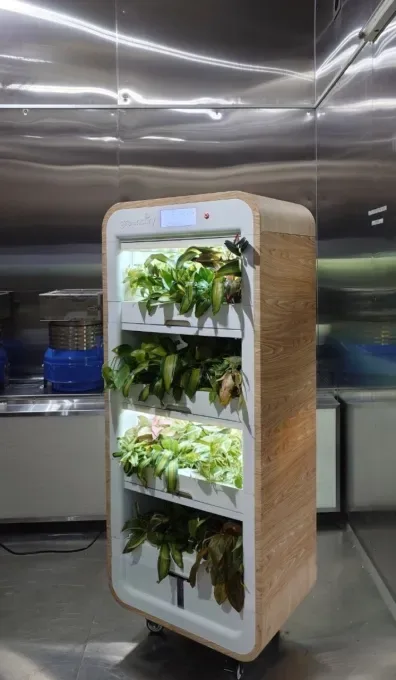 Greenairy plant tower